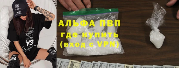 стафф Арсеньев