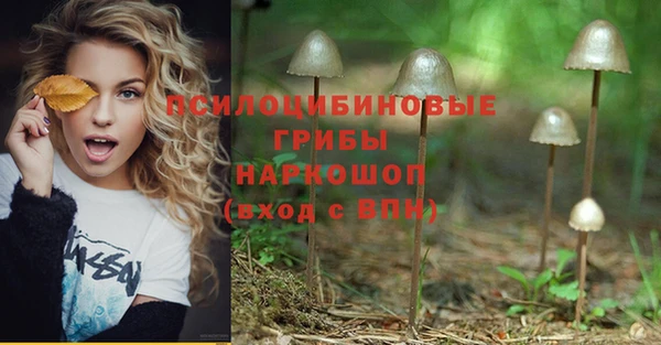mdpv Балахна