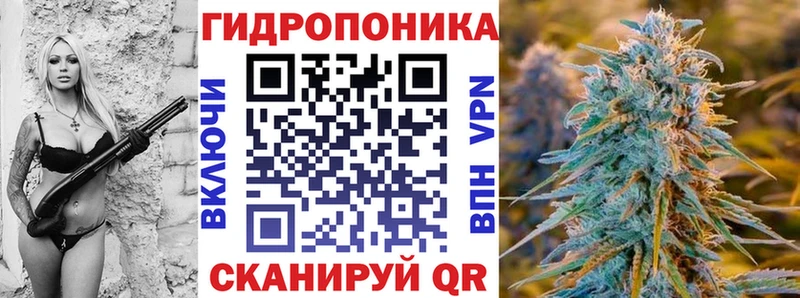 магазин продажи наркотиков  Петушки  Канабис планчик 